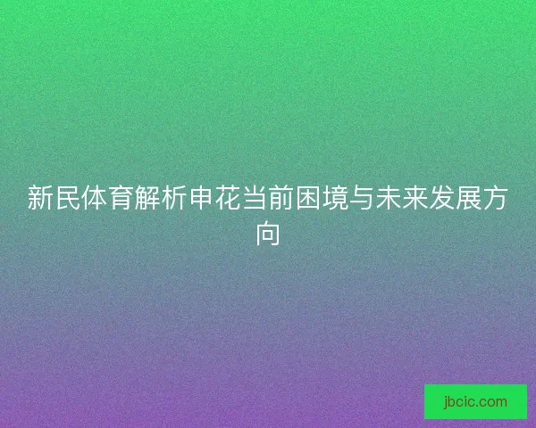 新民体育解析申花当前困境与未来发展方向